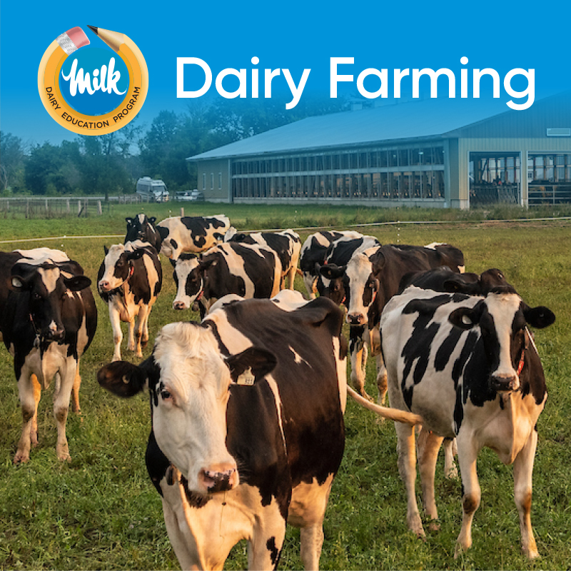 The Dairy Project